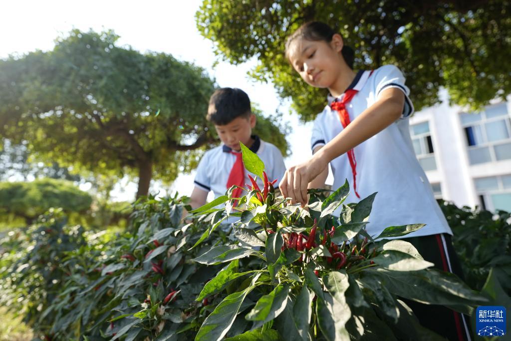 智胜平台登录